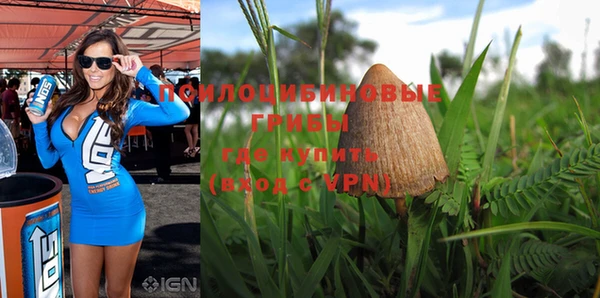 прущая мука Алексеевка