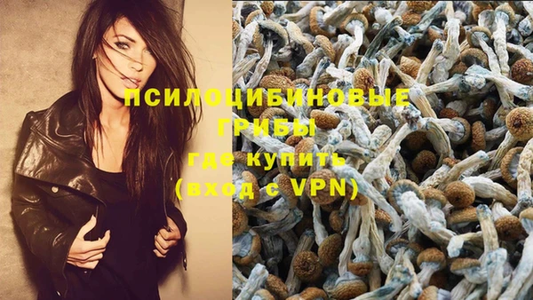 твердый Приозерск