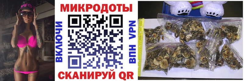 как найти закладки  Сольвычегодск  блэк спрут маркетплейс  Галлюциногенные грибы прущие грибы 